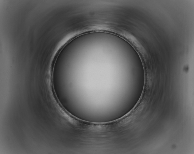 X0000100751286200806191134