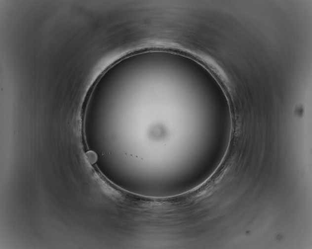 X0000100751287200806191134