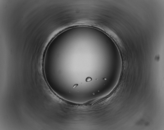 X0000100751288200806191134