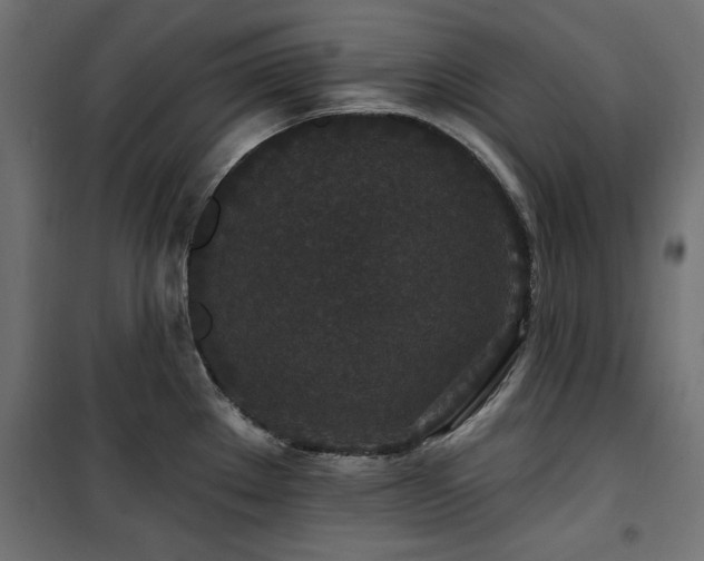 X0000100751289200806191134