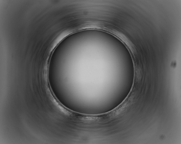 X0000100751290200806191134