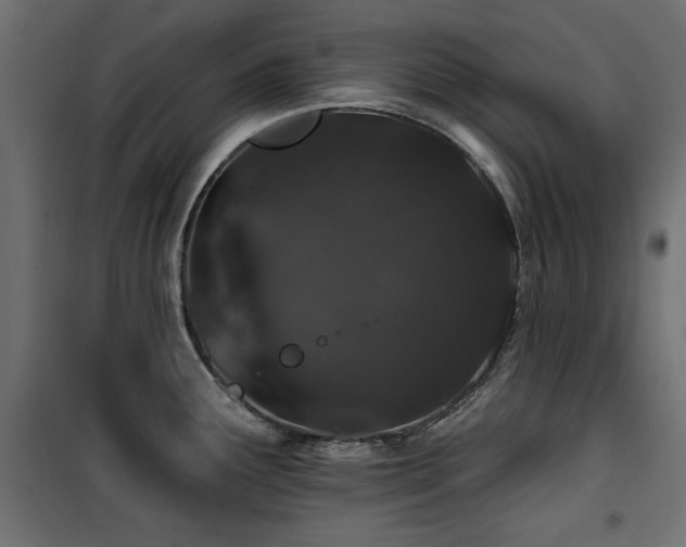 X0000100751291200806191134