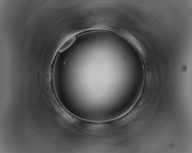 X0000100751292200806191134