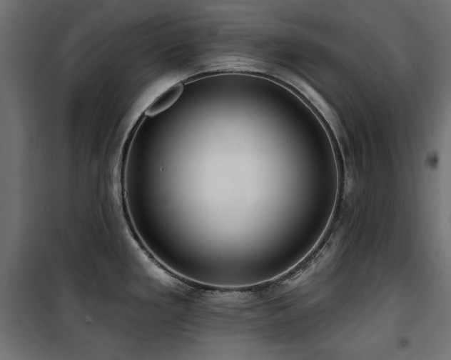 X0000100751293200806191134