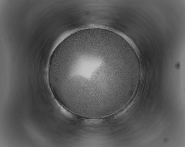 X0000100751294200806191134