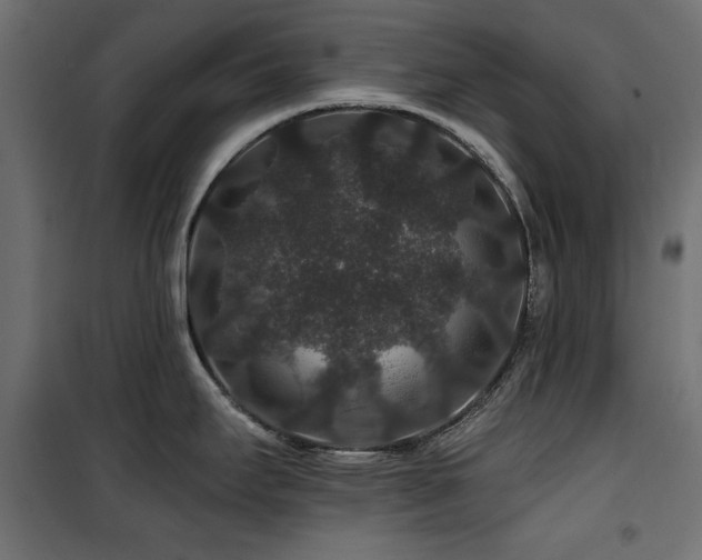 X0000100751295200806191134