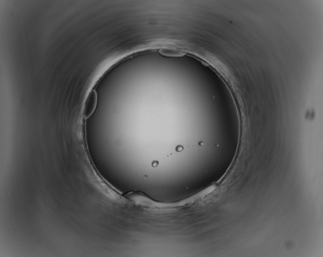 X0000100751296200806191134