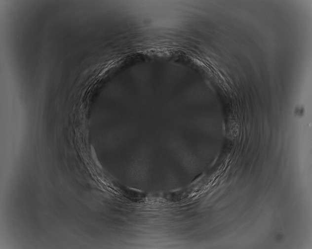 X0000100751297200806191134