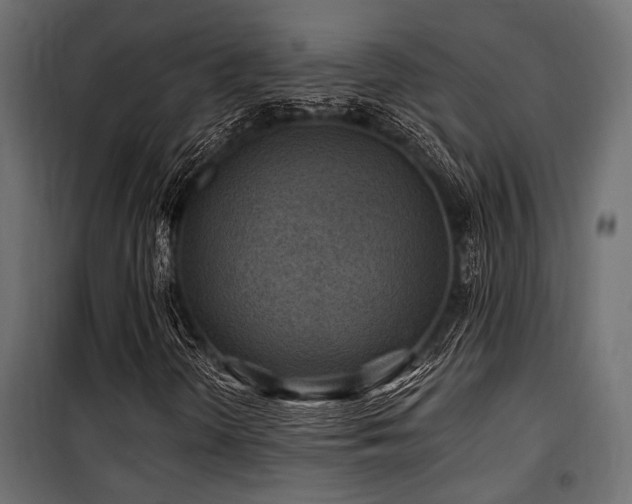 X0000100751298200806191134