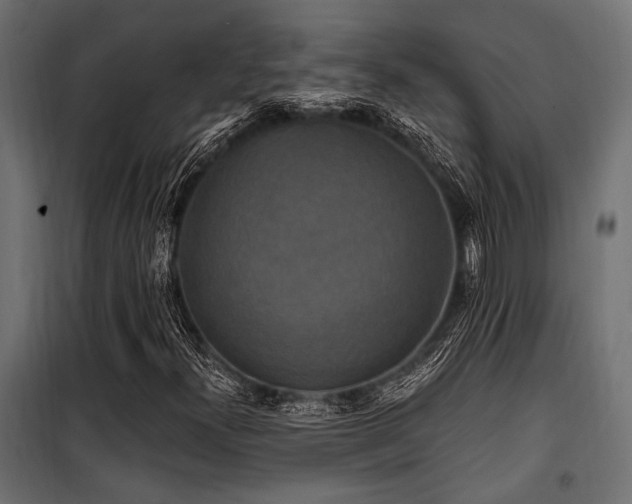 X0000100751300200806191134