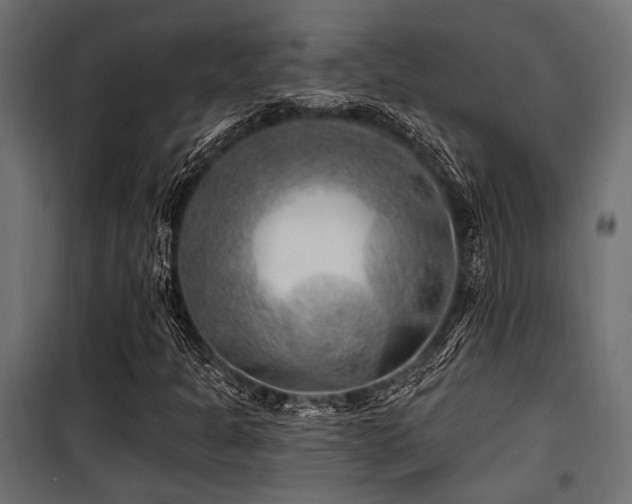 X0000100751301200806191134