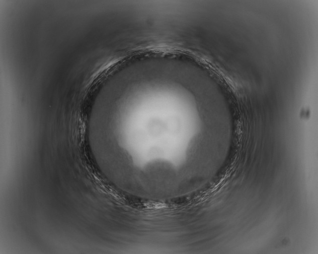 X0000100751302200806191134