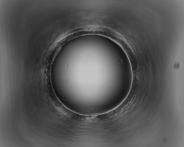 X0000100751304200806191134