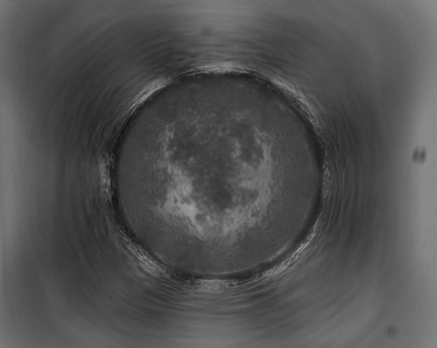 X0000100751305200806191134