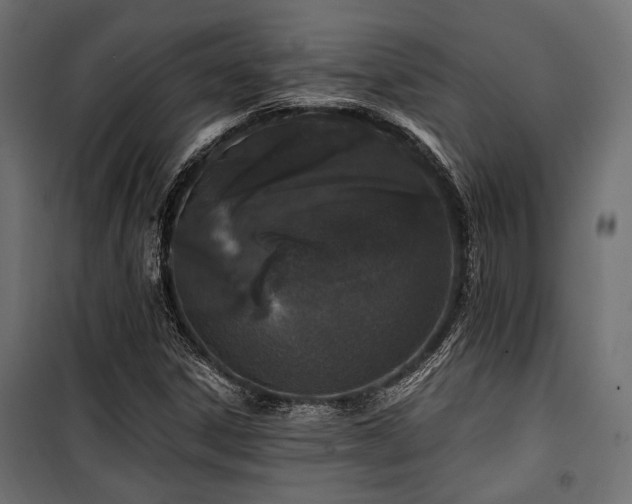 X0000100751306200806191134