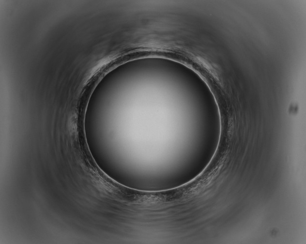 X0000100751307200806191134