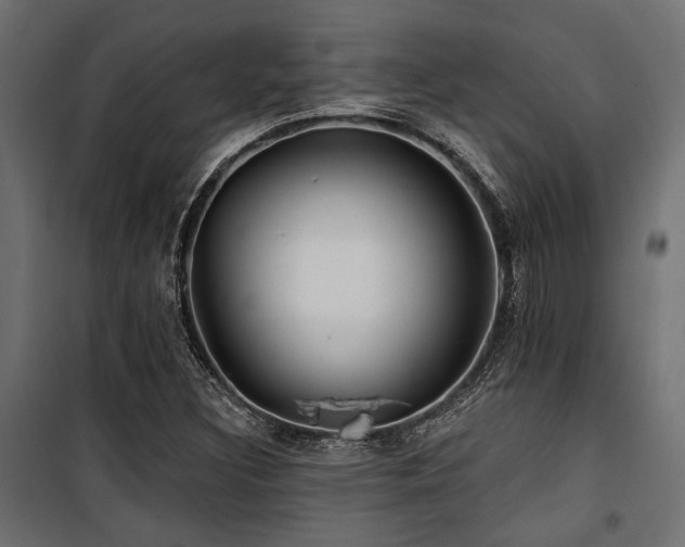 X0000100751308200806191134