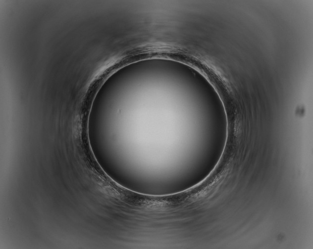 X0000100751309200806191134