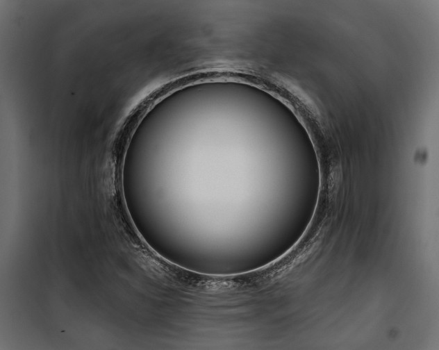 X0000100751310200806191134