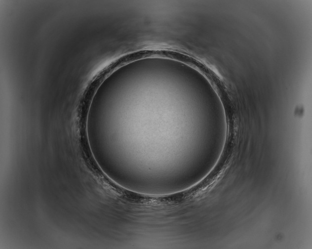 X0000100751311200806191134