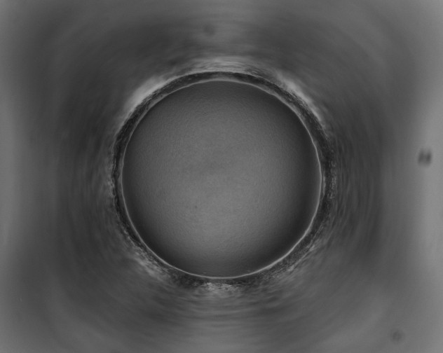 X0000100751312200806191134