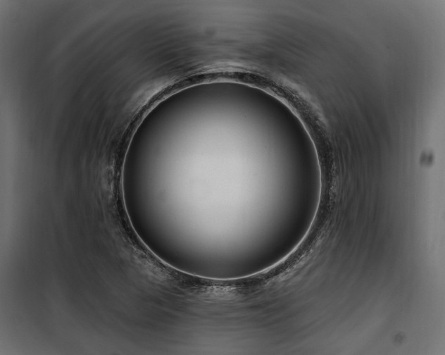 X0000100751313200806191134