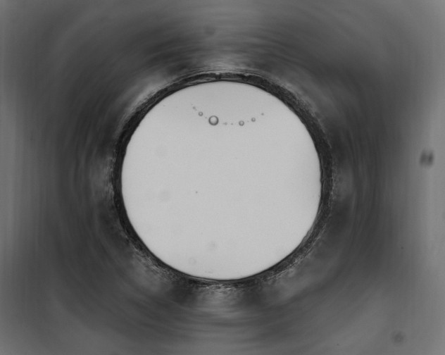 X0000100751314200806191134