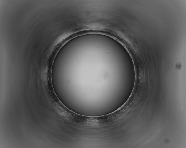 X0000100751315200806191134