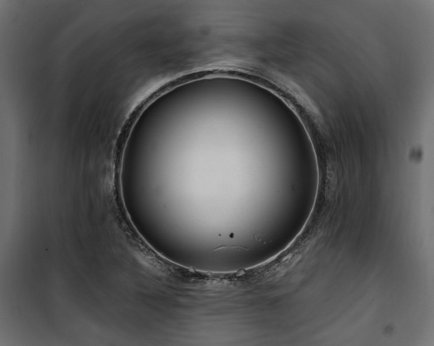 X0000100751316200806191134