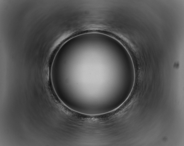 X0000100751317200806191134