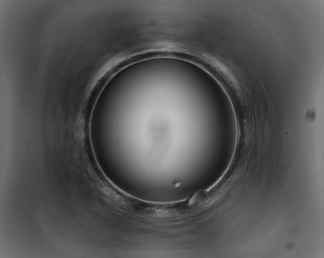 X0000100751318200806191134