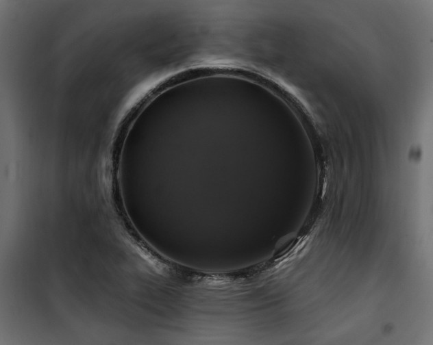 X0000100751319200806191134