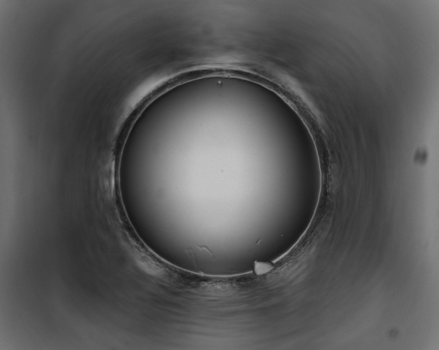 X0000100751320200806191134