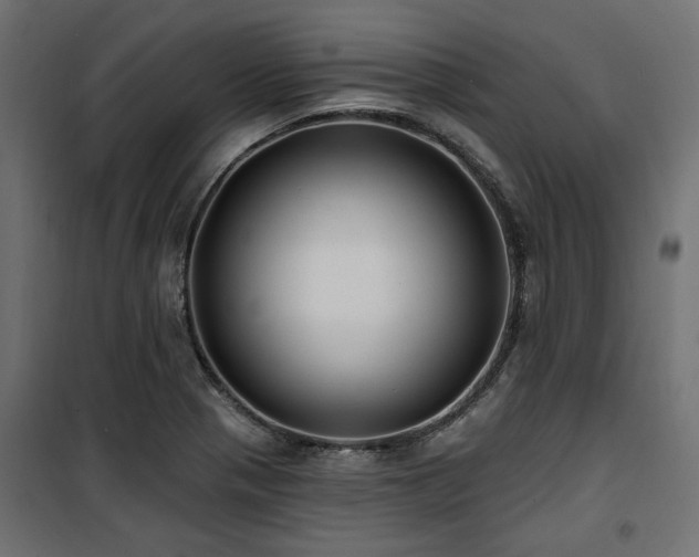 X0000100751321200806191134