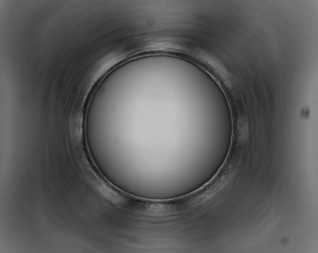 X0000100751322200806191134