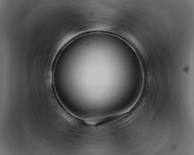 X0000100751324200806191134