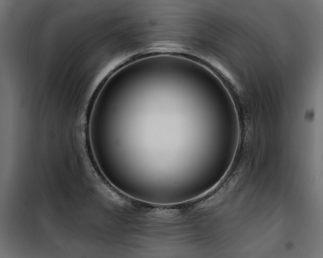 X0000100751325200806191134