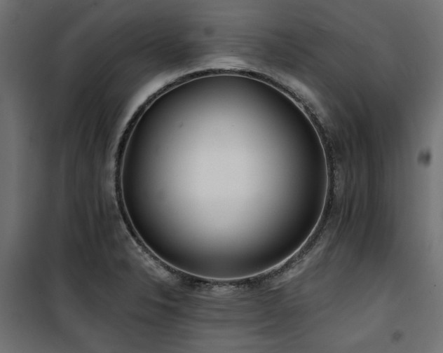 X0000100751326200806191134