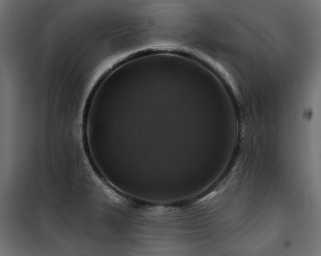 X0000100751327200806191134