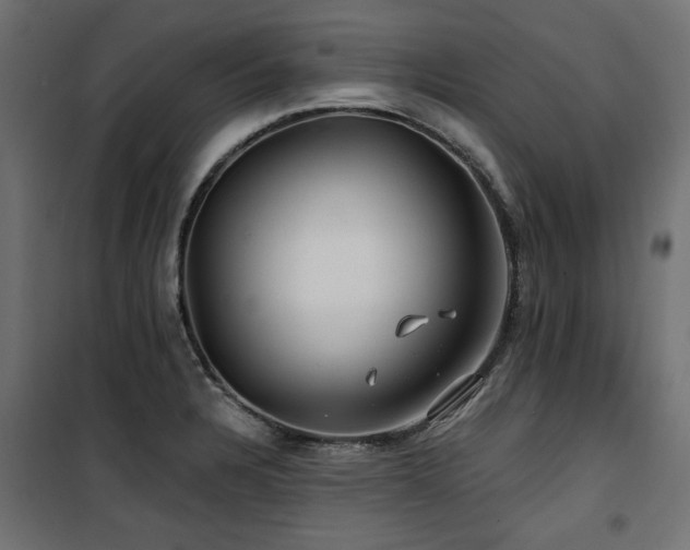 X0000100751328200806191134