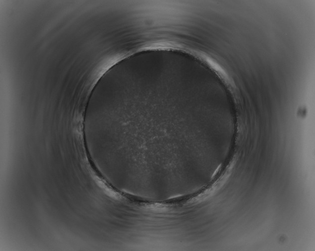 X0000100751329200806191134