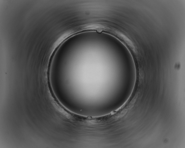 X0000100751330200806191134