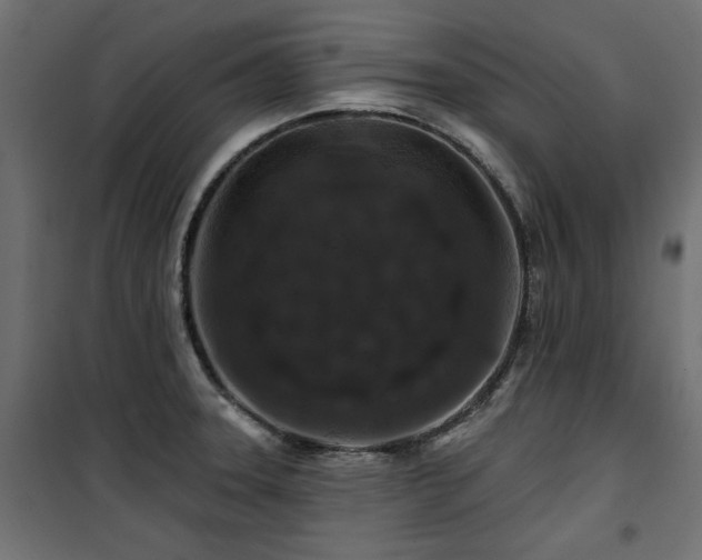 X0000100751331200806191134