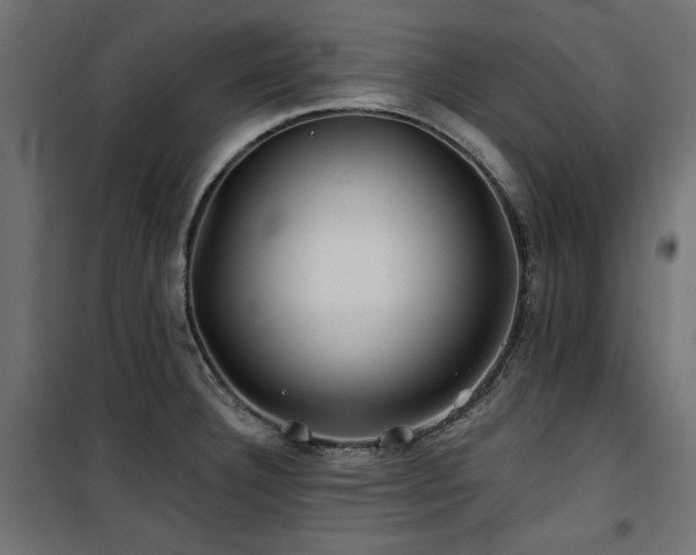 X0000100751332200806191134