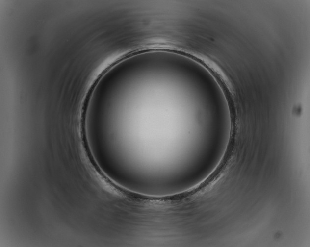 X0000100751333200806191134