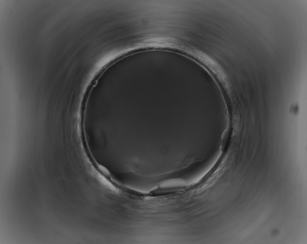 X0000100751334200806191134