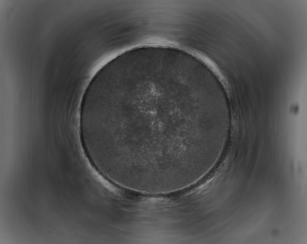 X0000100751335200806191134