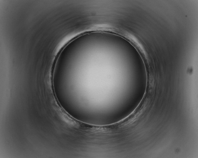 X0000100751336200806191134