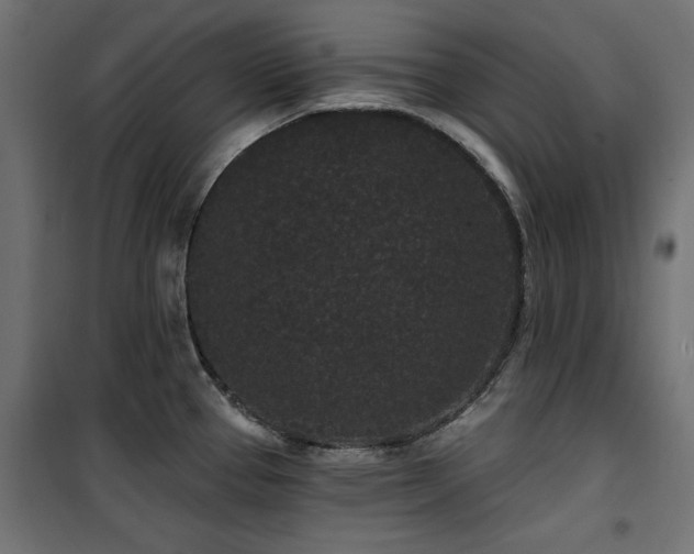 X0000100751337200806191134