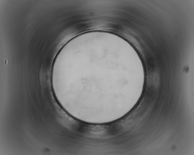 X0000100751338200806191134